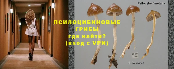 крисы Белоозёрский