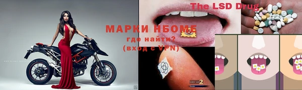 крисы Белоозёрский