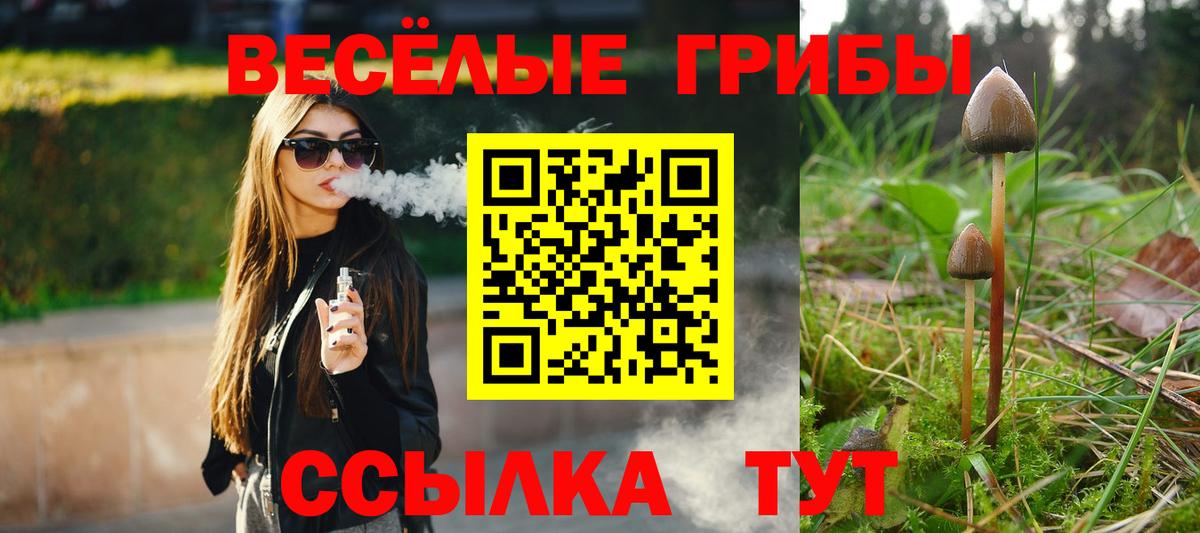 Острогожск  Галлюциногенные грибы Cubensis  Вход с VPN 